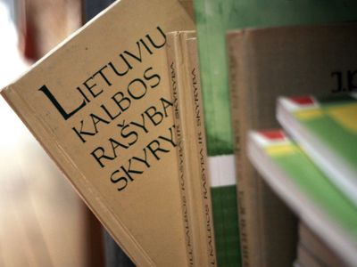 Вильнюсский район: не все чиновники представили справки о владении госязыком - Литва и страны Балтии