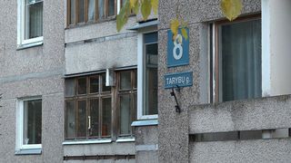 Каким может быть новое название ул. Тарибу? Предложено 114 вариантов