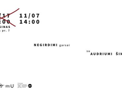 Неслышимые звуки Висагинаса: прогулка-охота за звуками с Аудрюсом Шимкунасом - В Висагинасе