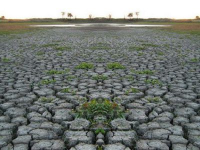 Džiūstanti Šveicarija šaukiasi lietaus                 - Pasaulyje