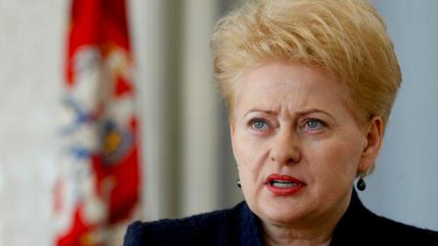 Стоит ли Грибаускайте выдвигать свою кандидатуру на второй срок?
 

 - Литва и страны Балтии