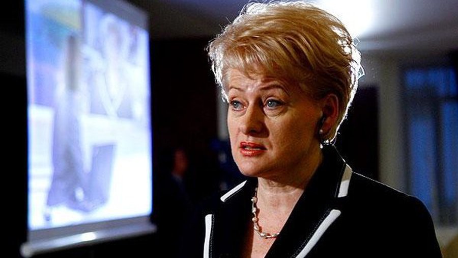 Виктор Ольжич: Новый правитель Литвы между двух огней - Литва и страны Балтии