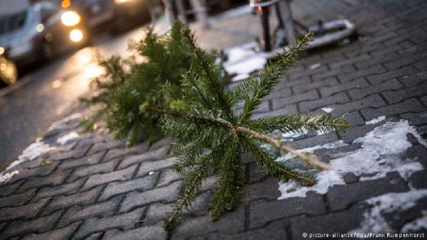 Куда можно выбросить отслужившую новогоднюю елку?