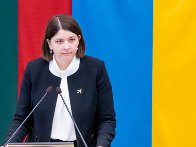 Г. Скайсте: пока нет правовых механизмов, как использовать замороженные средства России для восстановления Украины - В Мире