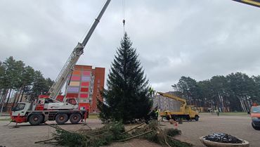 На площади Сантарвес установили необычную новогоднюю ёлку (видео)