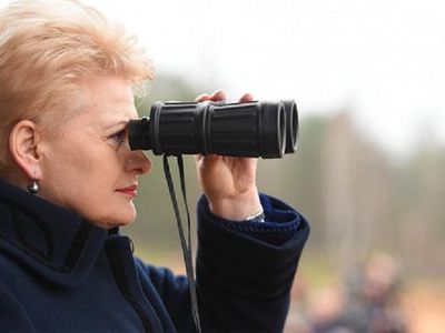 Д. Грибаускайте согласна с призывом Д. Трампа увеличивать расходы на оборону - Литва и страны Балтии