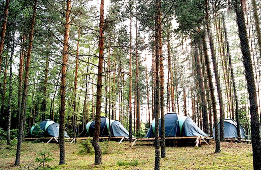 Вниманию молодежных объединений: приглашает «Балтийский Артек» - В Висагинасе
