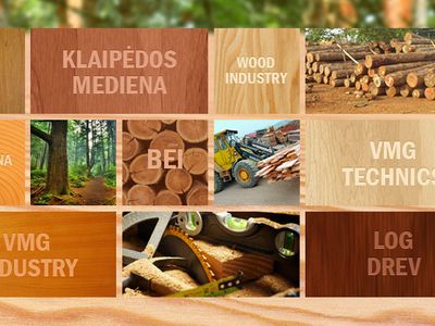 Стартует строительство нового завода древесной стружки "Вакару мяденос групес" - Экономика и бизнес