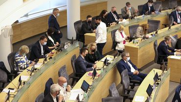Seimas po svarstymo pritarė Civilinės sąjungos įstatymo projektui