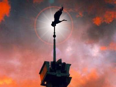 Выбраны лучшие из лучших                                 - В Висагинасе