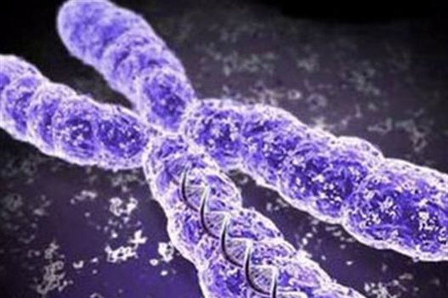 Дата смерти: создан самый точный тест                 - Наука и здоровье