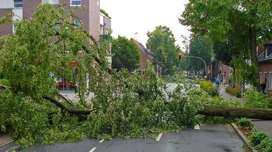 Пожарные более 900 раз выезжали устранять последствия урагана по всей Литве - Литва и страны Балтии