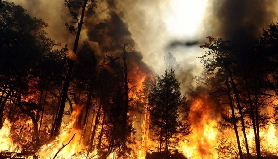 Dėl vykdomų akcijų ir saugus elgesys gamtoje - Visagine