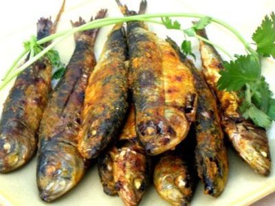 Морская рыба замедляет старение - Наука и здоровье