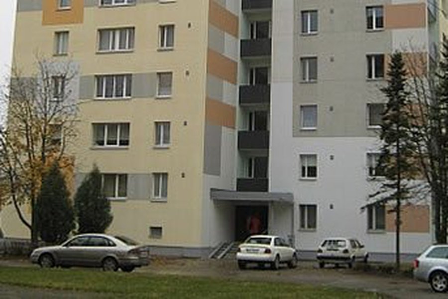 Реновации — дополнительная поддержка государства - Литва и страны Балтии