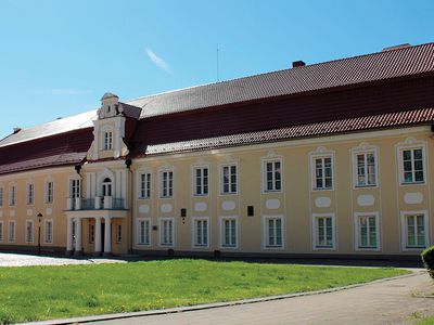 Siručio rūmai - Projektas „Europos Pulsas“