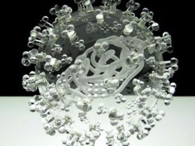 Вечно новый грипп - Наука и здоровье