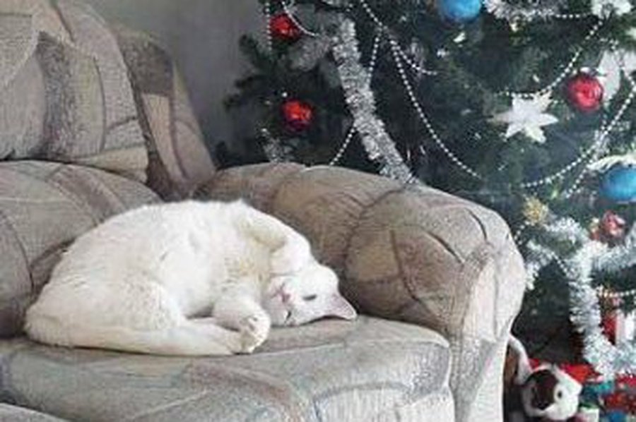 Новогодние каникулы россиян продлятся первые десять дней 2011 года  - Хобби, отдых и развлечения