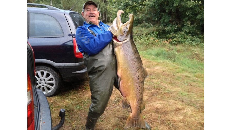 В Литве пойман лосось рекордных размеров - Хобби, отдых и развлечения