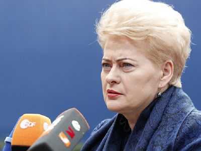 Президент Литвы заявила, что Украине предстоит пройти долгий путь в ЕС - В Мире