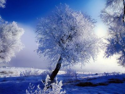 Зимой участятся снежные ураганы, а лето станет благоприятнее для туризма                                 - Наука и здоровье