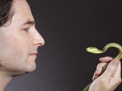 СМИ: датские ученые исследуют кровь рок-певца, 25 лет вкалывавшего себе змеиный яд - Наука и здоровье