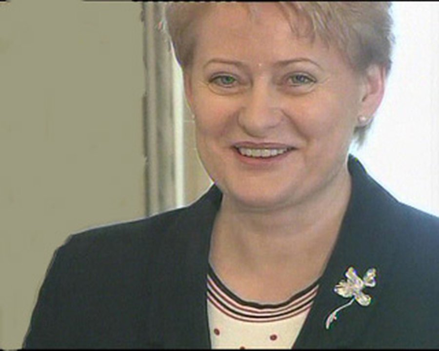 «Опасность для литовского общества представляет не Россия, а местные политики», -считает Д.Грибаускайте  - Литва и страны Балтии