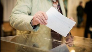 Для проживающих за рубежом литовцев открыты дополнительные пункты для голосования