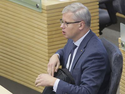 Сейм сделал первый шаг к появлению знака Витиса на государственных автомобильных номерах - Литва и страны Балтии