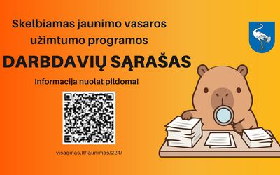 Опубликован список работодателей, участвующих в программе летней занятости молодежи - В Висагинасе