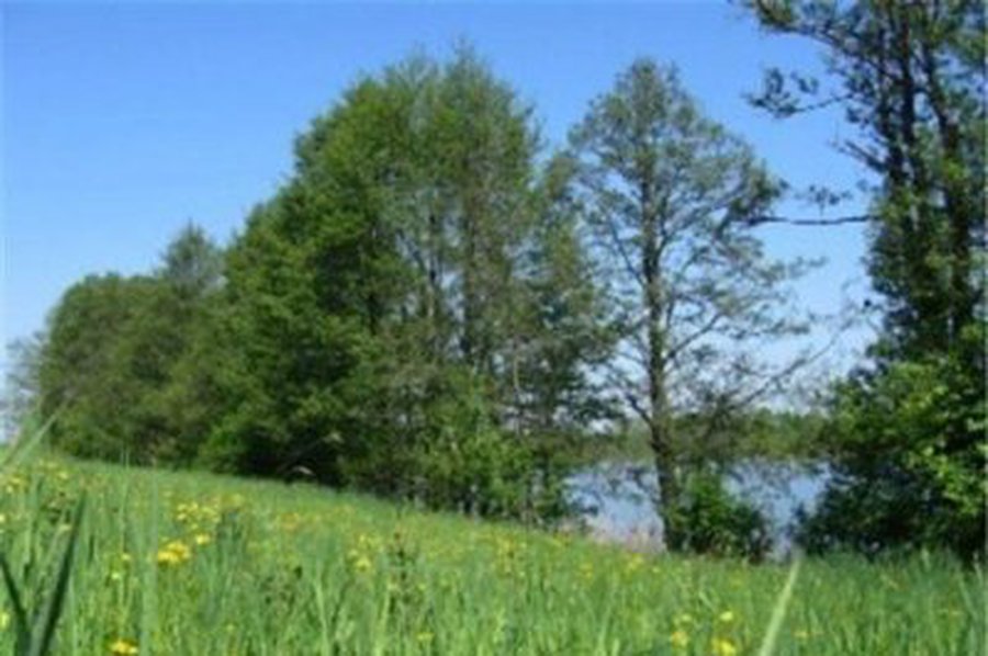 Запрет на покупку земли иностранцами могут продлить на 3 года - Литва и страны Балтии