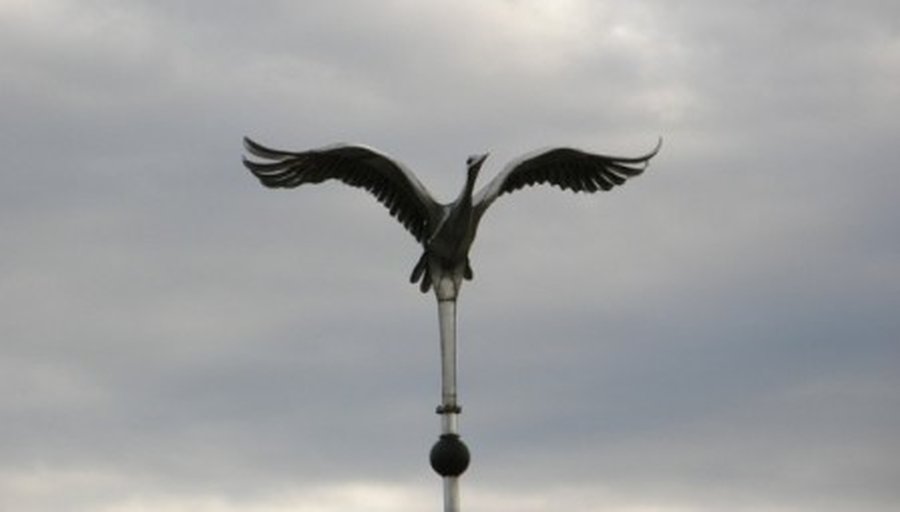 Открытое письмо мэру Висагинского самоуправления Дале Штраупайте и членам Совета Висагинского самоуправления - В Висагинасе