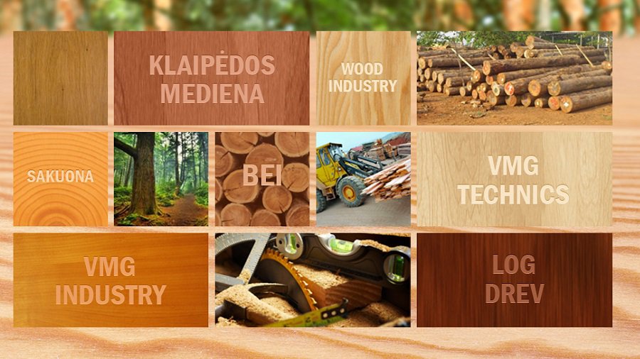 Стартует строительство нового завода древесной стружки "Вакару мяденос групес" - Экономика и бизнес