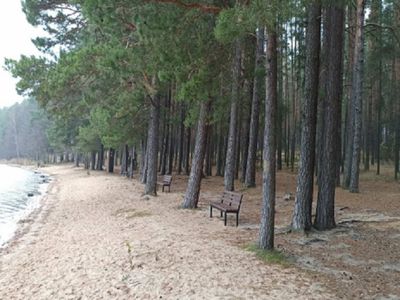 Представление общественности проекта лесоустройства - В Висагинасе