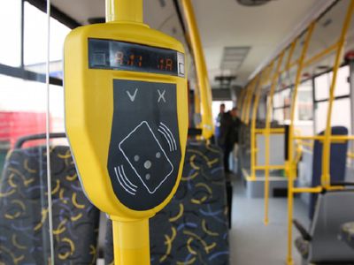 Предлагается применять транспортную скидку и для маленьких пассажиров - Литва и страны Балтии