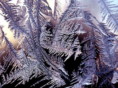 Погода: снова ожидается похолодание - Литва и страны Балтии