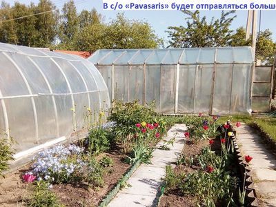 Мест в автобусах, следующих в садовое общество «Pavasaris», должно хватить всем - В Висагинасе