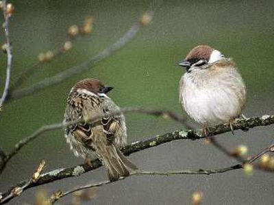 Meilės dieną šveskime kartu! - Visagine
