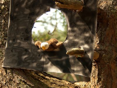 «Кукушкино Дупло» — отдыхаем активно! - В Висагинасе