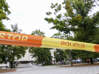 После беспорядков у Сейма здание правительства Литвы обнесли металлической оградой - Литва и страны Балтии