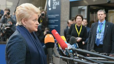Президент Литвы сгущает краски
