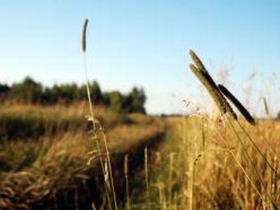 Сейм Литвы утвердил новый порядок уплаты налогов на землю

                                 - Литва и страны Балтии