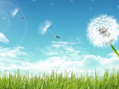 Климатолог: первый летний месяц будет привычно теплым - Литва и страны Балтии