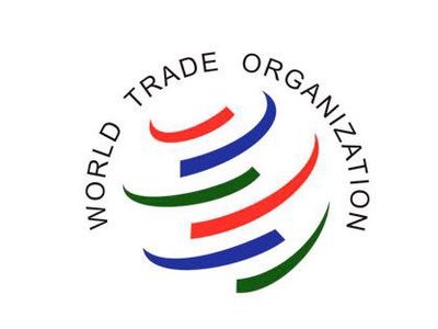 «И ВТО, и Всемирный банк — все это институты американского финансового господства» - В Мире