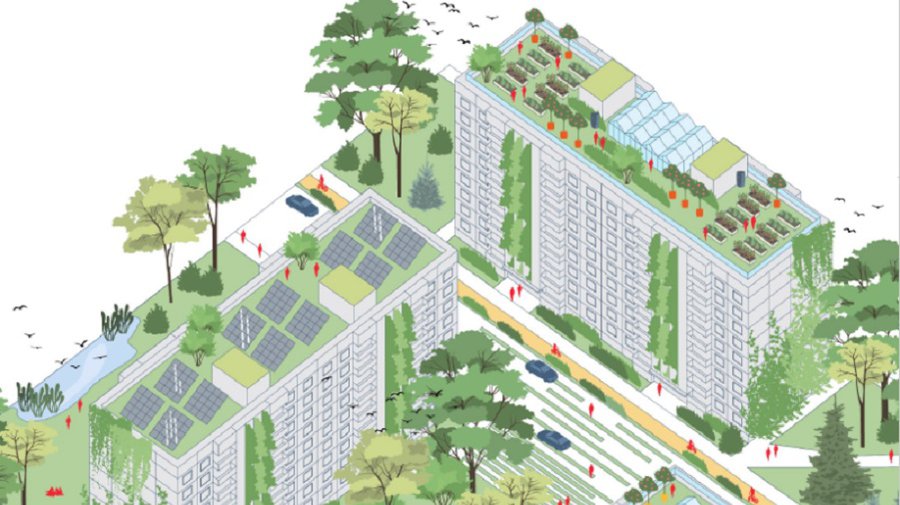 Мастерские по городской зеленой инфраструктуре - В Висагинасе