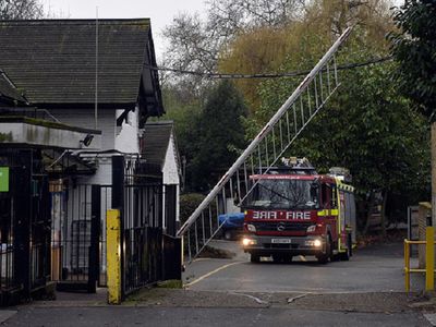 В Лондонском зоопарке произошел пожар - В Мире