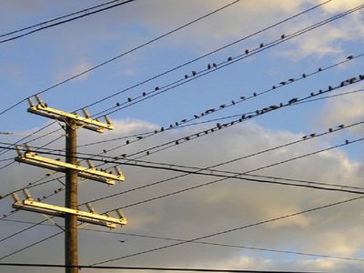 Вице-министр: решение о продлении компенсаций цен на электроэнергию будет принято в мае - Литва и страны Балтии