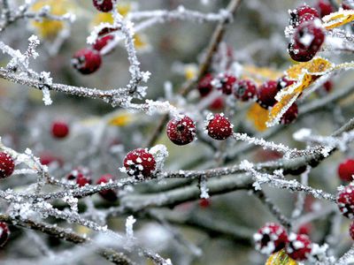 Погода: грядут неприятные перемены - Литва и страны Балтии
