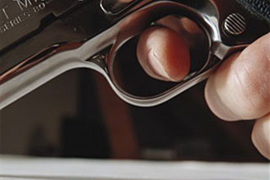 
В Голландии расстреляли зрителей фестиваля под открытым небом
 - В Мире