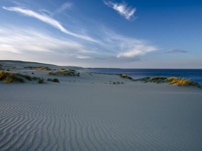 В Калининградской области началось воздушное патрулирование заповедной Куршской косы
 - Литва и страны Балтии